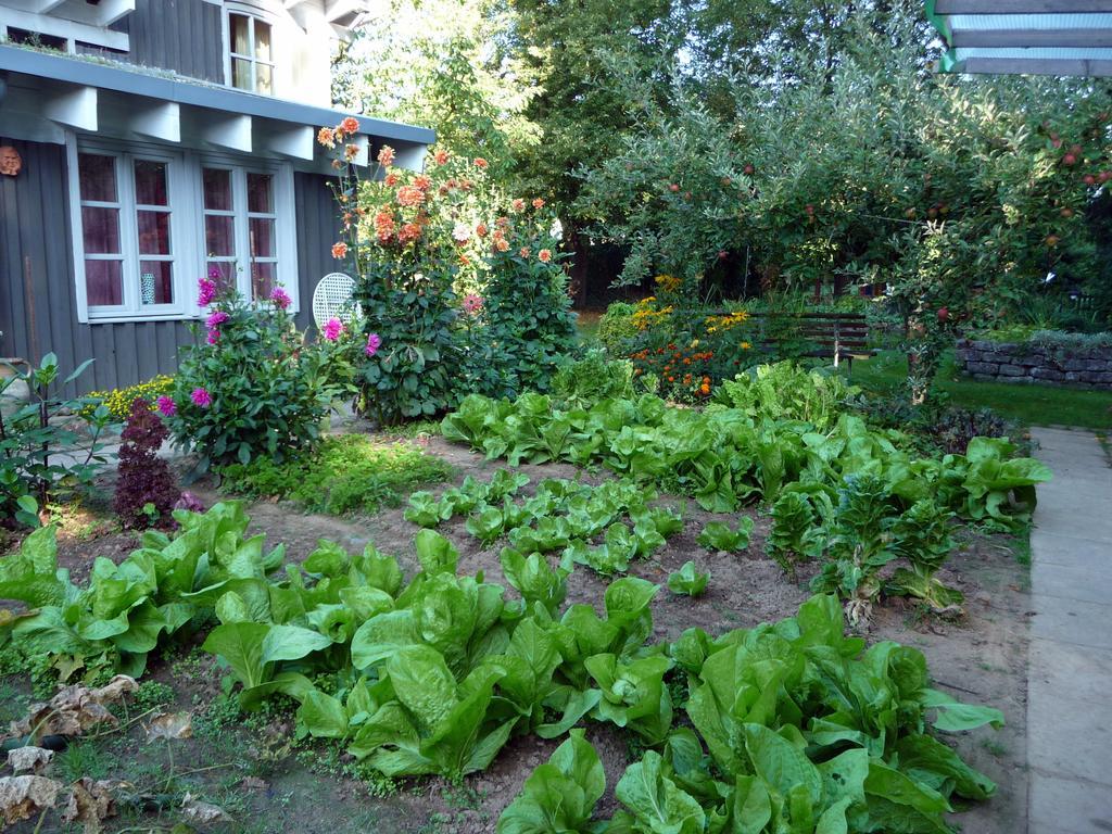 Ferienhaus Gartenlust Dierdorf Værelse billede